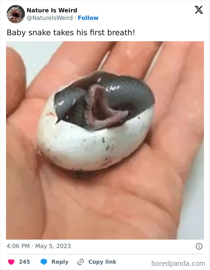 Wait, Nature Got Weird! 42 Pics That’ll Blow Your Mind