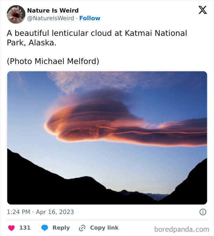 Wait, Nature Got Weird! 42 Pics That’ll Blow Your Mind