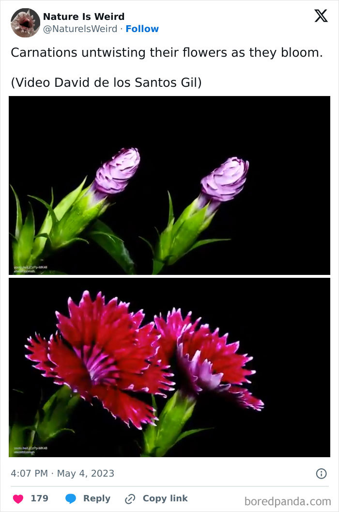 Wait, Nature Got Weird! 42 Pics That’ll Blow Your Mind