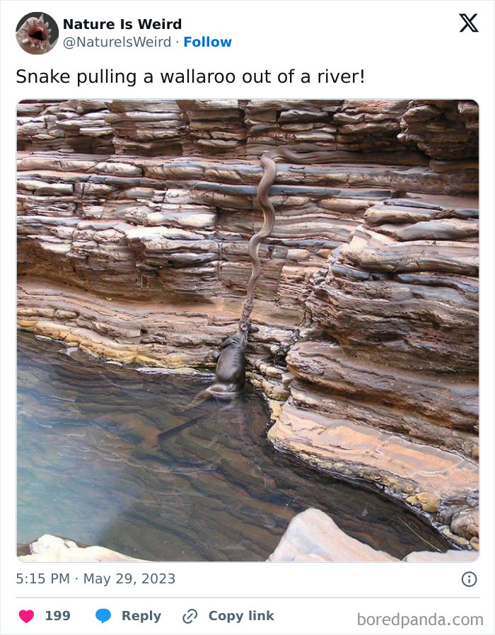 Wait, Nature Got Weird! 42 Pics That’ll Blow Your Mind