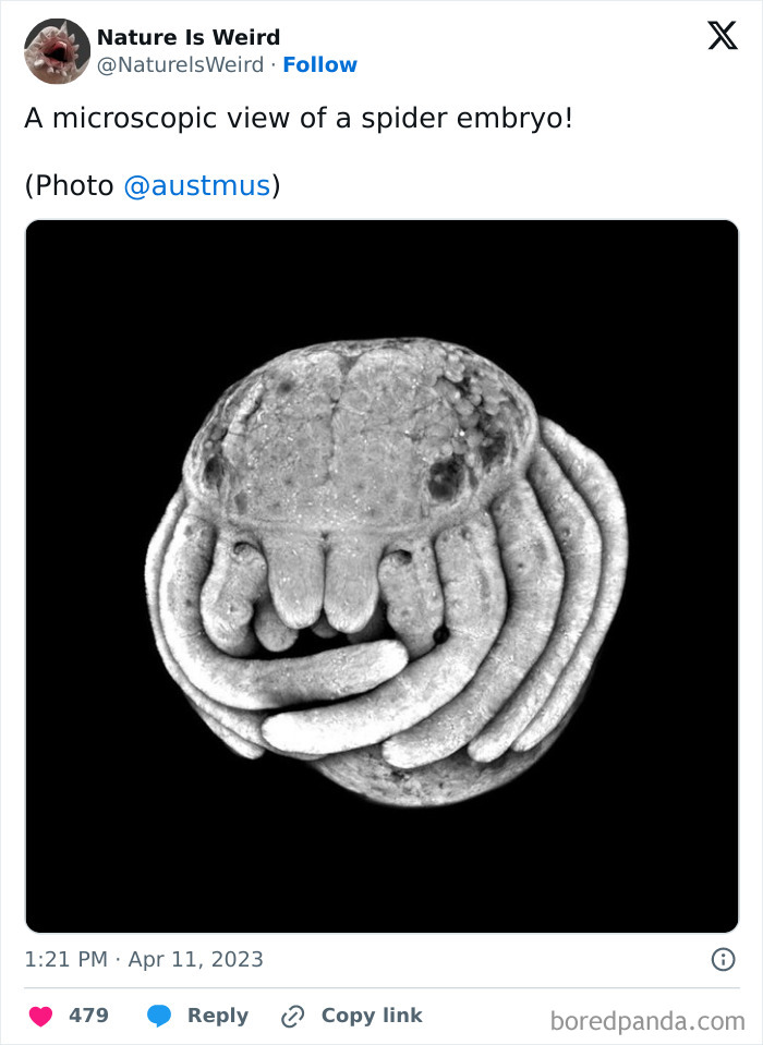 Wait, Nature Got Weird! 42 Pics That’ll Blow Your Mind