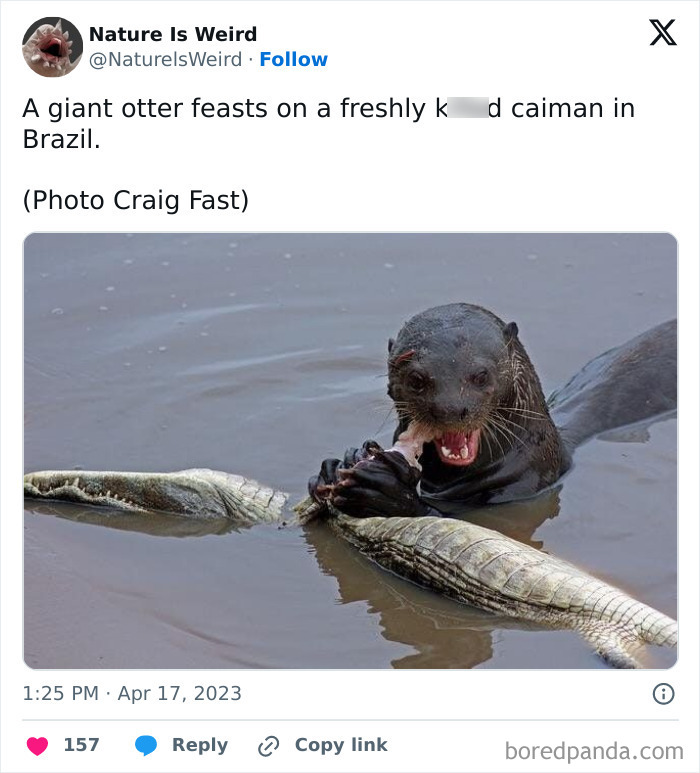 Wait, Nature Got Weird! 42 Pics That’ll Blow Your Mind
