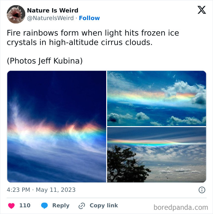 Wait, Nature Got Weird! 42 Pics That’ll Blow Your Mind