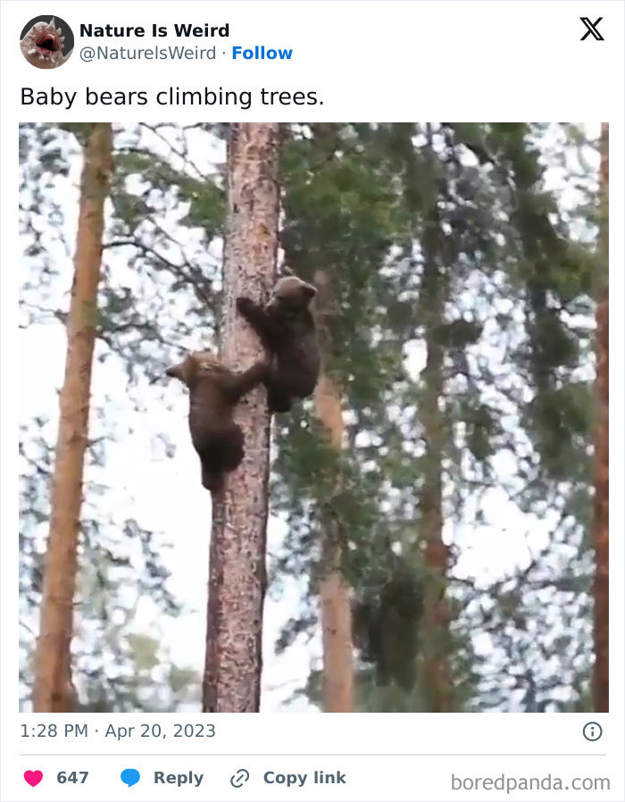 Wait, Nature Got Weird! 42 Pics That’ll Blow Your Mind
