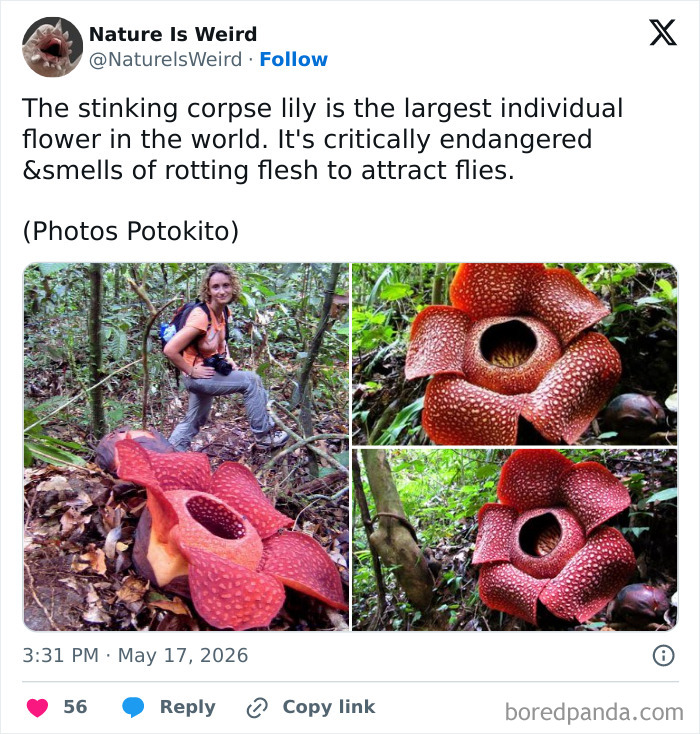 Wait, Nature Got Weird! 42 Pics That’ll Blow Your Mind