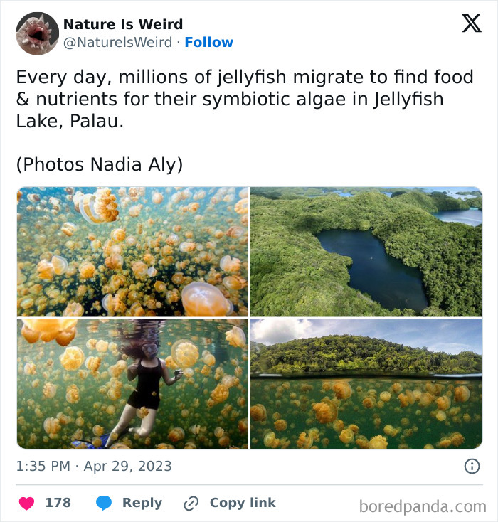 Wait, Nature Got Weird! 42 Pics That’ll Blow Your Mind