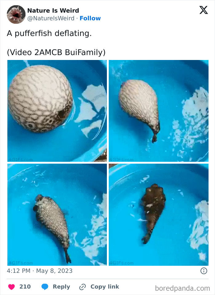 Wait, Nature Got Weird! 42 Pics That’ll Blow Your Mind