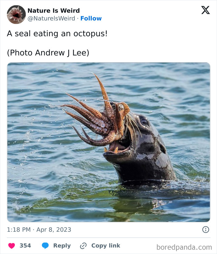 Wait, Nature Got Weird! 42 Pics That’ll Blow Your Mind