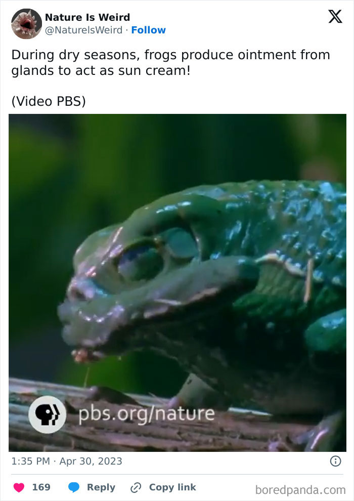 Wait, Nature Got Weird! 42 Pics That’ll Blow Your Mind