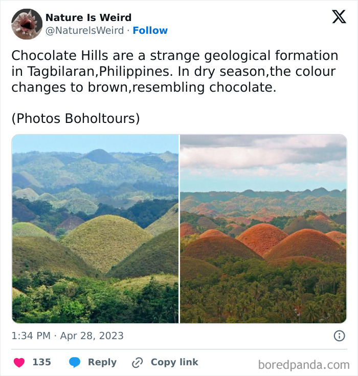 Wait, Nature Got Weird! 42 Pics That’ll Blow Your Mind