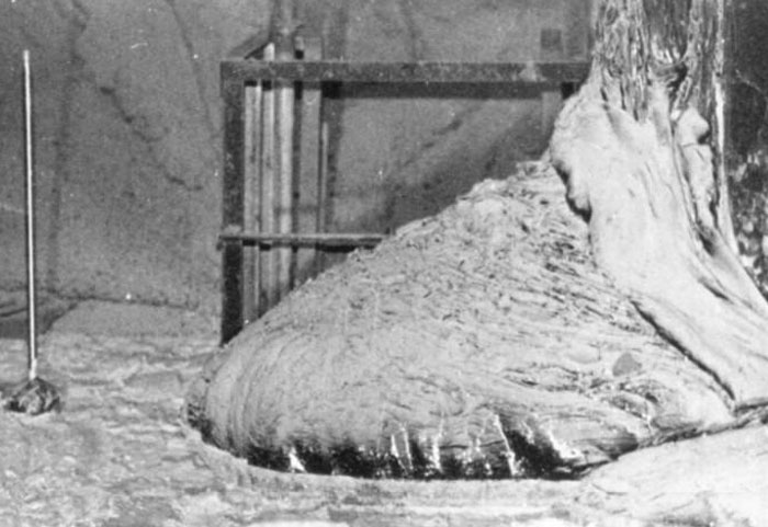 Wait, They Actually Shared These Creepy Pics?!