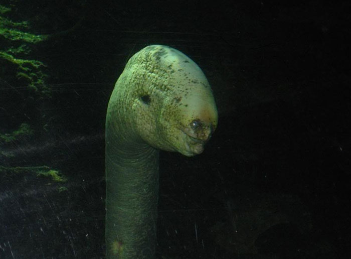 Wait, They Actually Shared These Creepy Pics?!