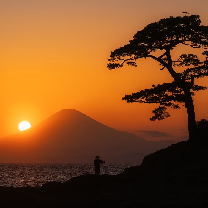 42 Jaw-Dropping Photos That Make Japan Look Like a Dream