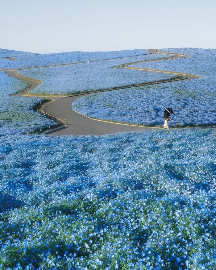 42 Jaw-Dropping Photos That Make Japan Look Like a Dream