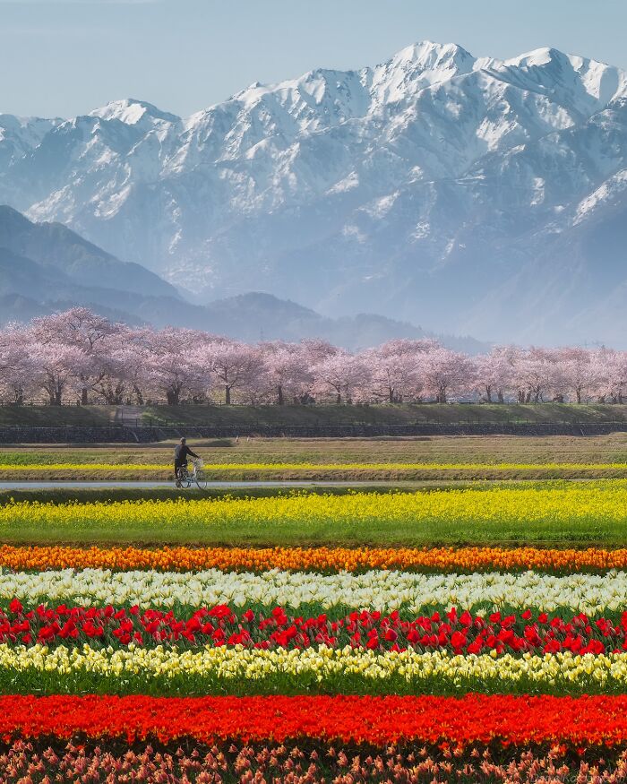 42 Jaw-Dropping Photos That Make Japan Look Like a Dream