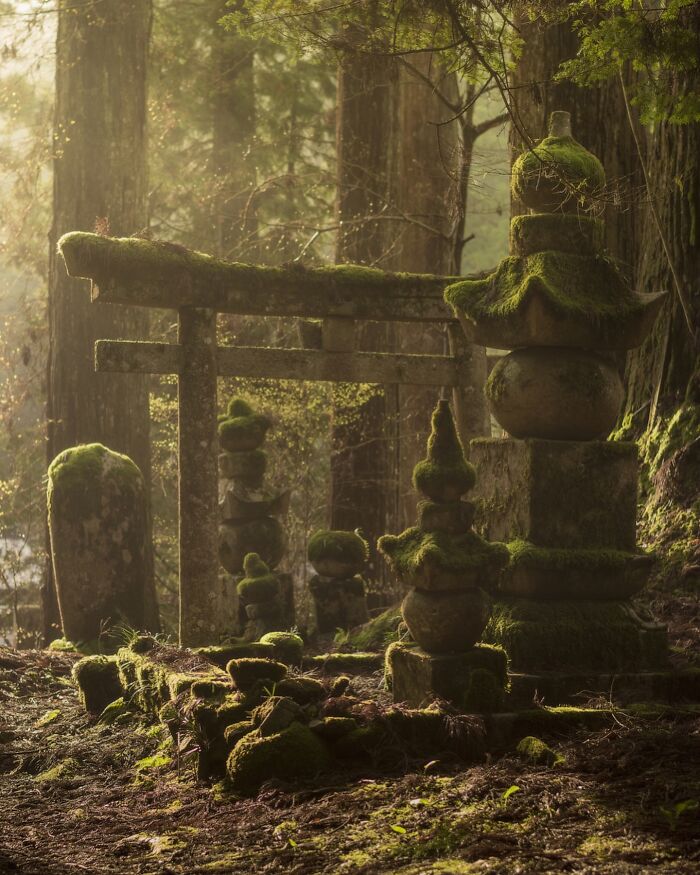 42 Jaw-Dropping Photos That Make Japan Look Like a Dream