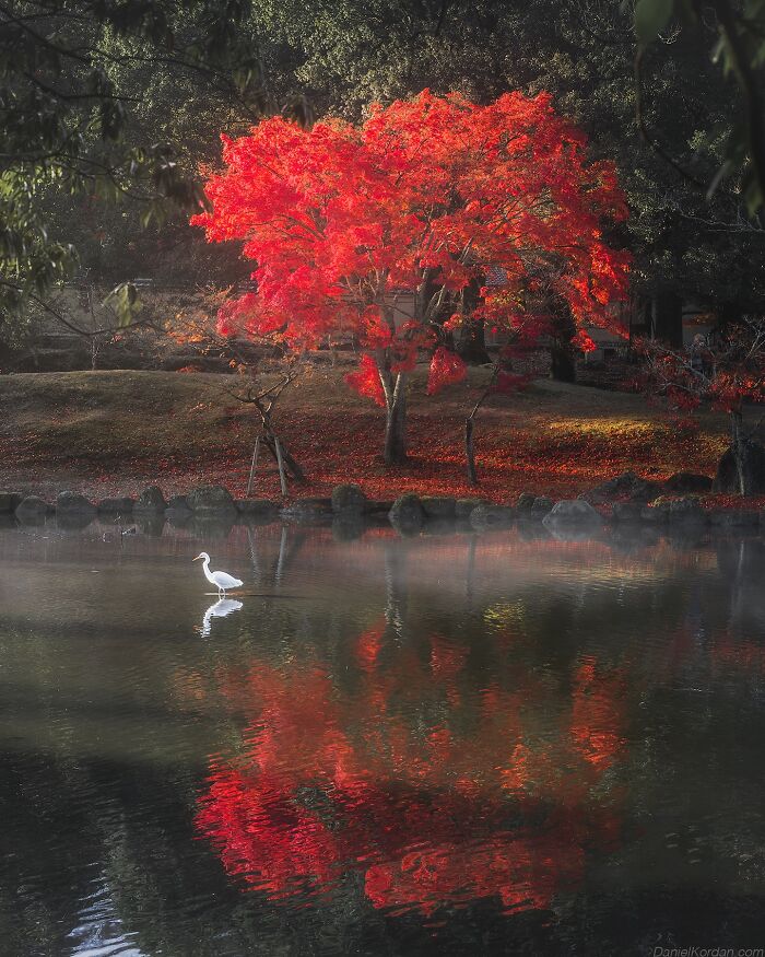 42 Jaw-Dropping Photos That Make Japan Look Like a Dream