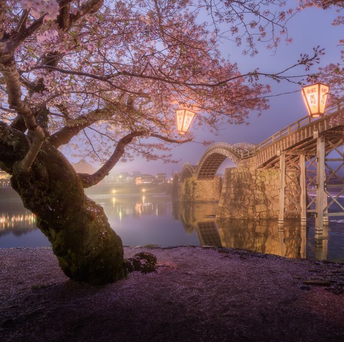 42 Jaw-Dropping Photos That Make Japan Look Like a Dream