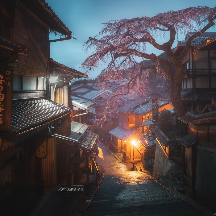 42 Jaw-Dropping Photos That Make Japan Look Like a Dream