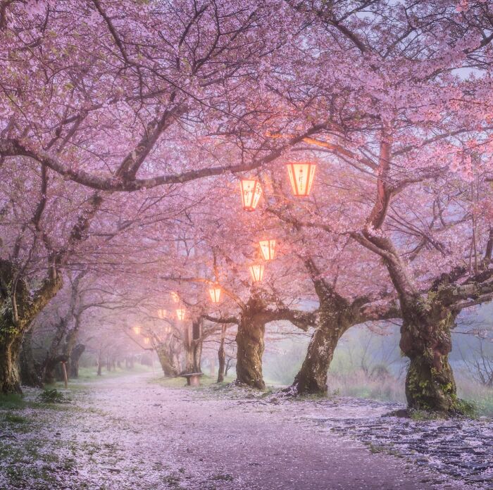 42 Jaw-Dropping Photos That Make Japan Look Like a Dream
