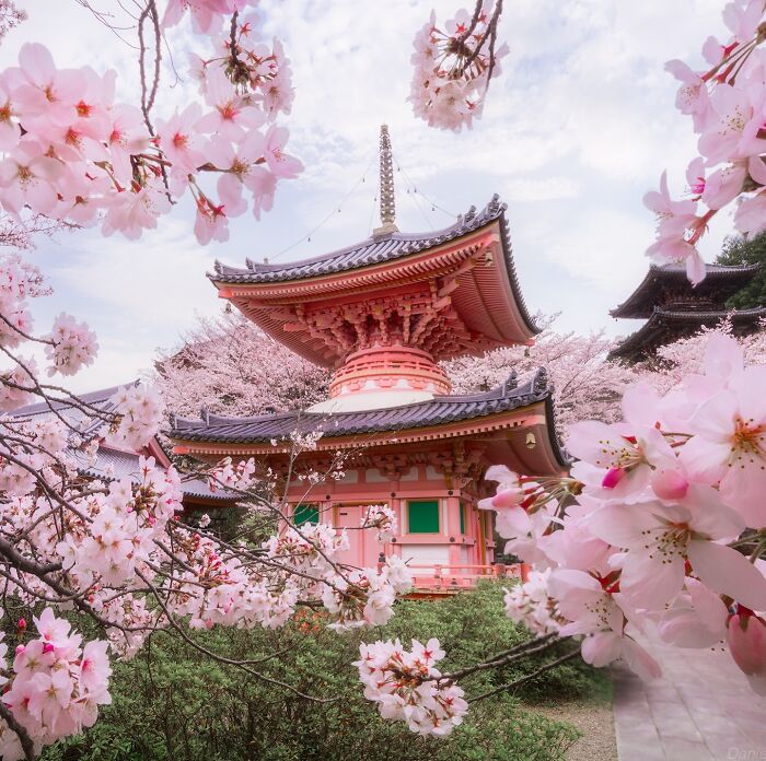 42 Jaw-Dropping Photos That Make Japan Look Like a Dream