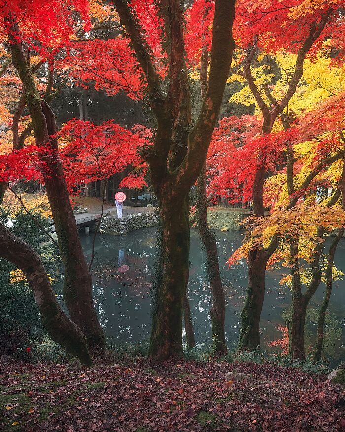 42 Jaw-Dropping Photos That Make Japan Look Like a Dream