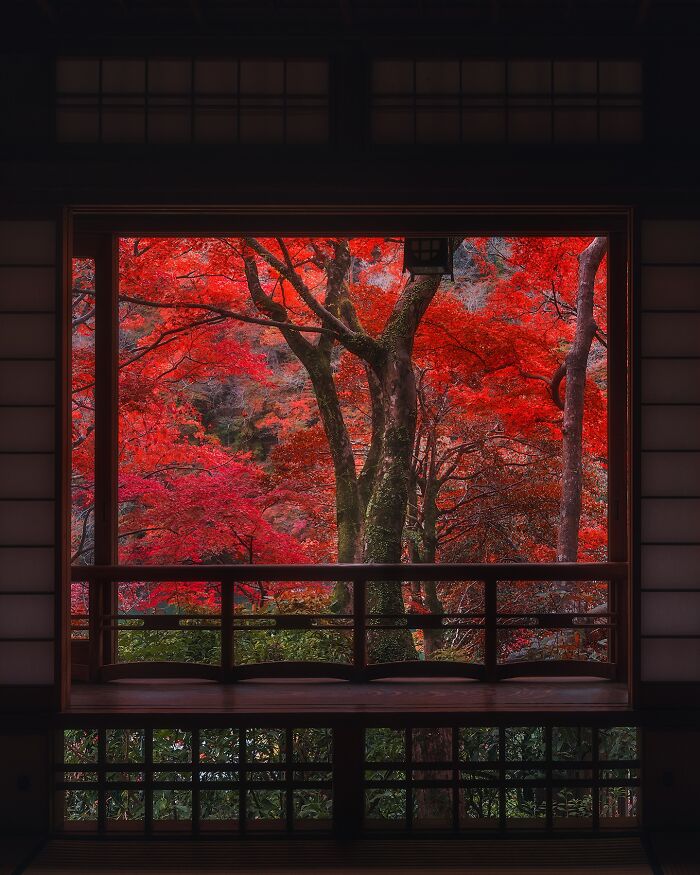 42 Jaw-Dropping Photos That Make Japan Look Like a Dream