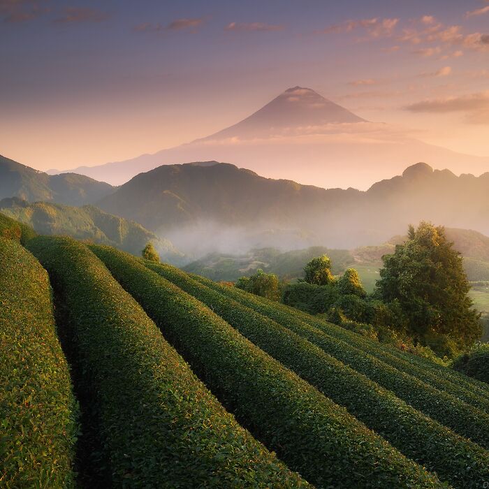 42 Jaw-Dropping Photos That Make Japan Look Like a Dream