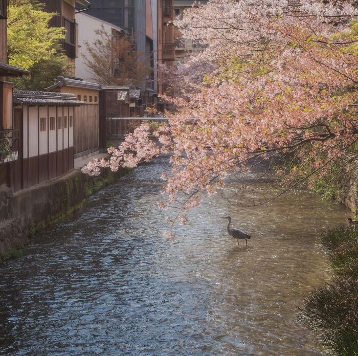 42 Jaw-Dropping Photos That Make Japan Look Like a Dream