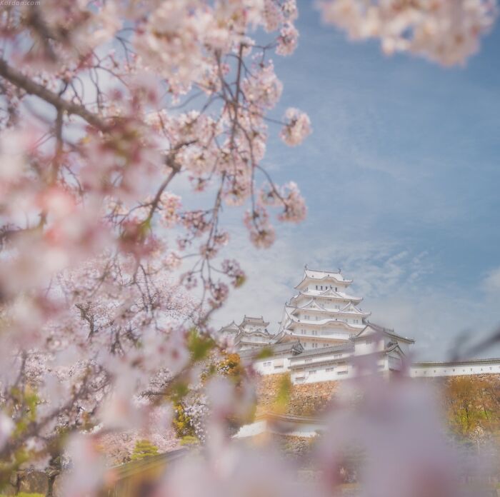 42 Jaw-Dropping Photos That Make Japan Look Like a Dream