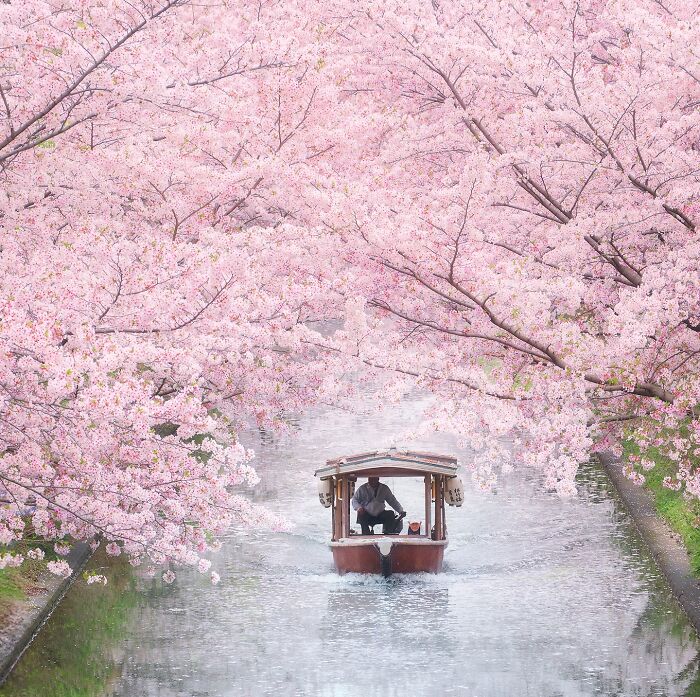 42 Jaw-Dropping Photos That Make Japan Look Like a Dream