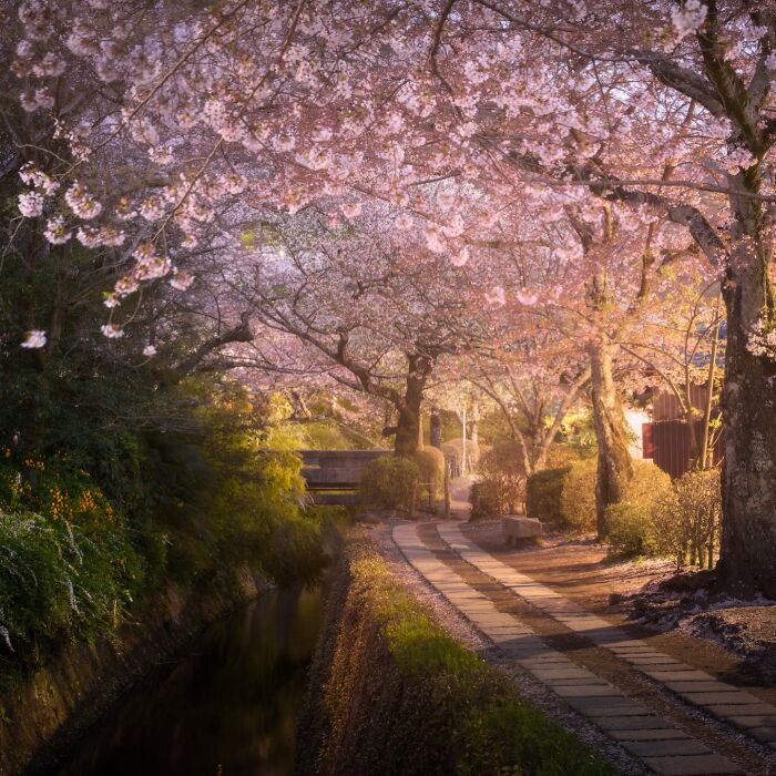 42 Jaw-Dropping Photos That Make Japan Look Like a Dream