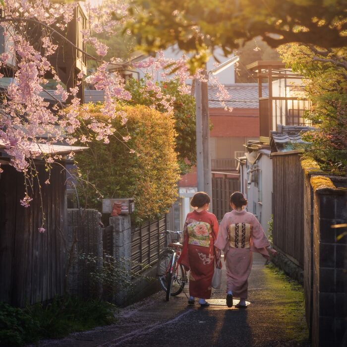42 Jaw-Dropping Photos That Make Japan Look Like a Dream