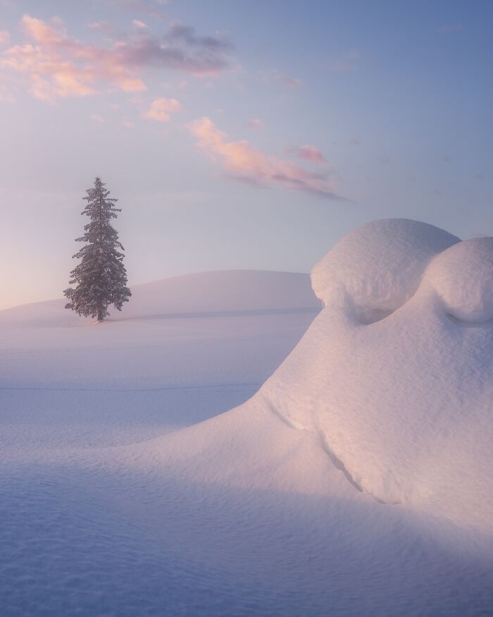 42 Jaw-Dropping Photos That Make Japan Look Like a Dream