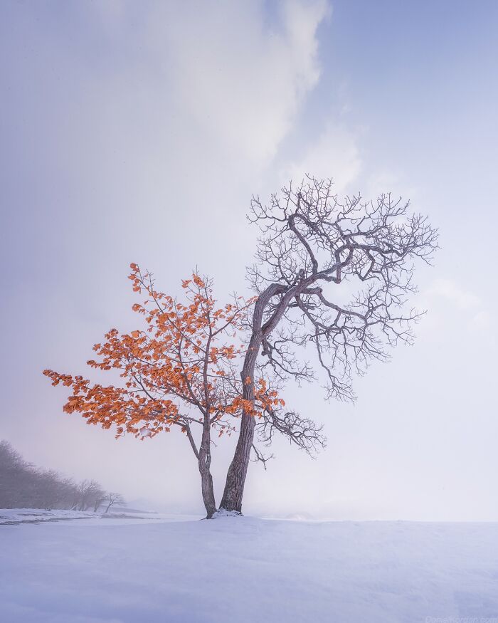 42 Jaw-Dropping Photos That Make Japan Look Like a Dream