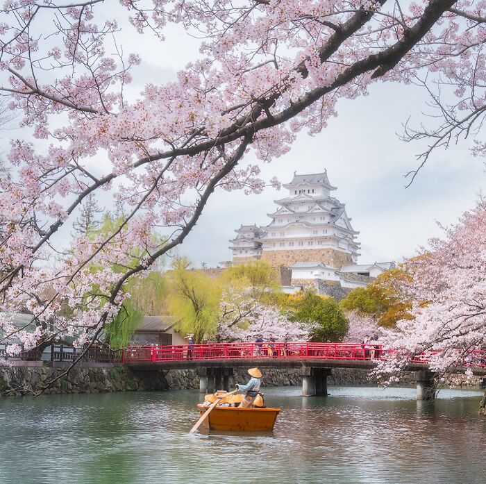 42 Jaw-Dropping Photos That Make Japan Look Like a Dream