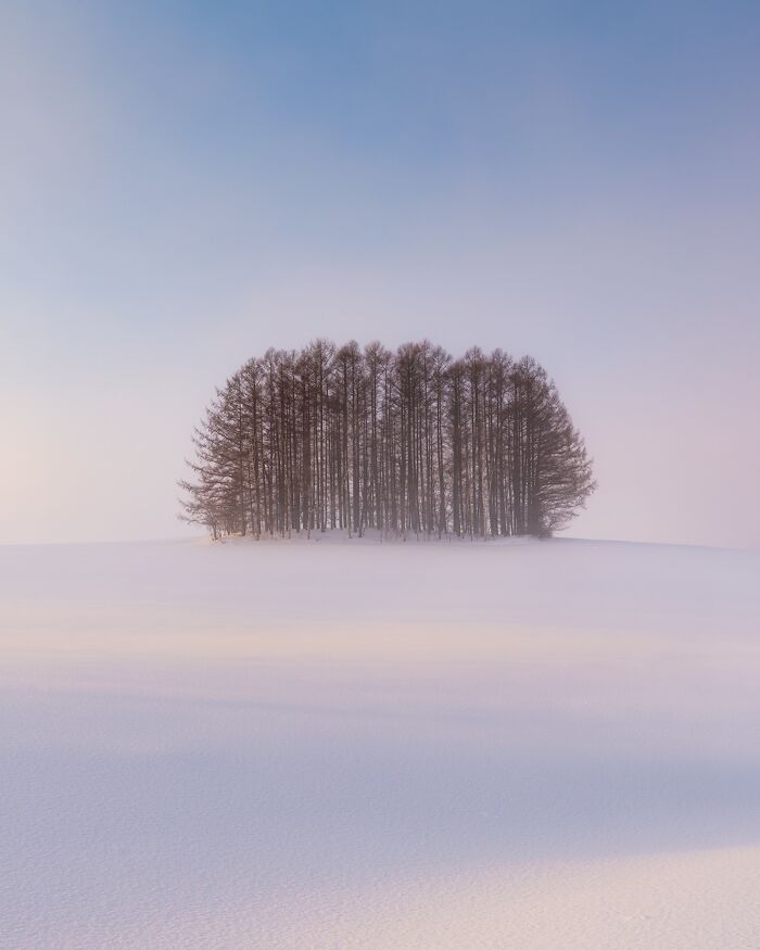 42 Jaw-Dropping Photos That Make Japan Look Like a Dream