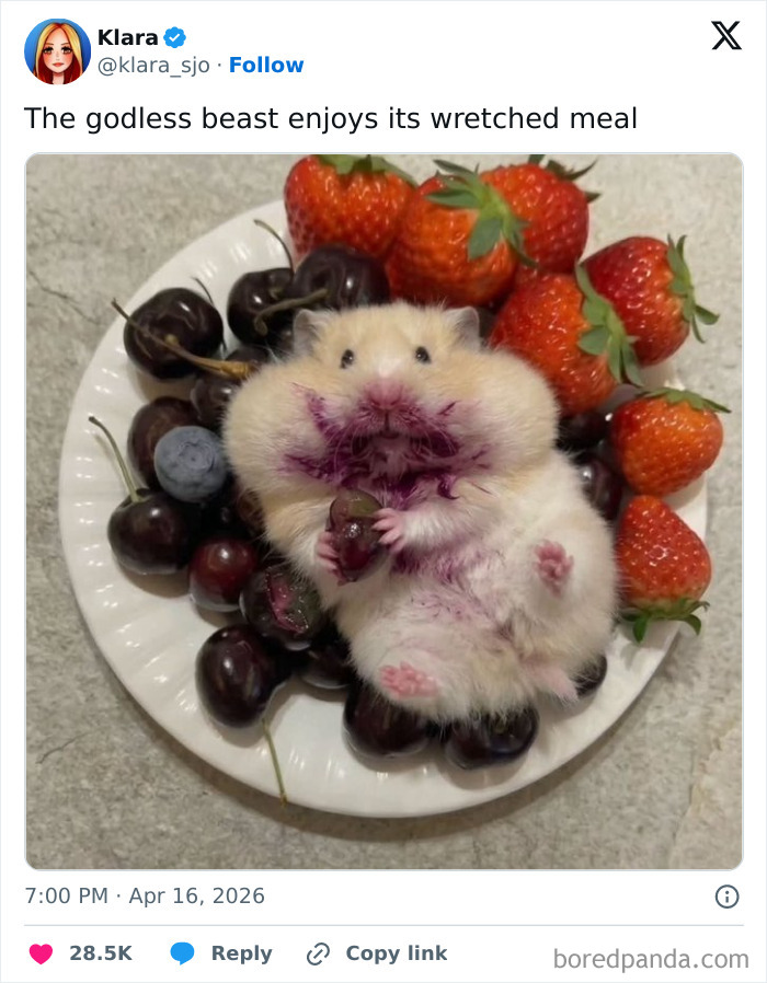 Let's Rank Some Ridiculously Catchy Memes That'll Stick in Your Brain