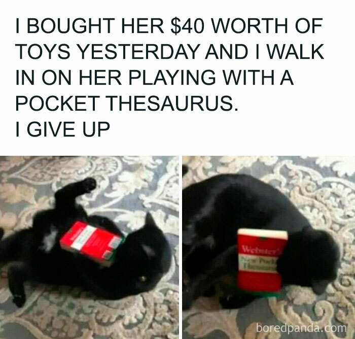 Let's Rank Some Ridiculously Catchy Memes That'll Stick in Your Brain