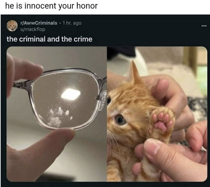 Let's Rank Some Ridiculously Catchy Memes That'll Stick in Your Brain