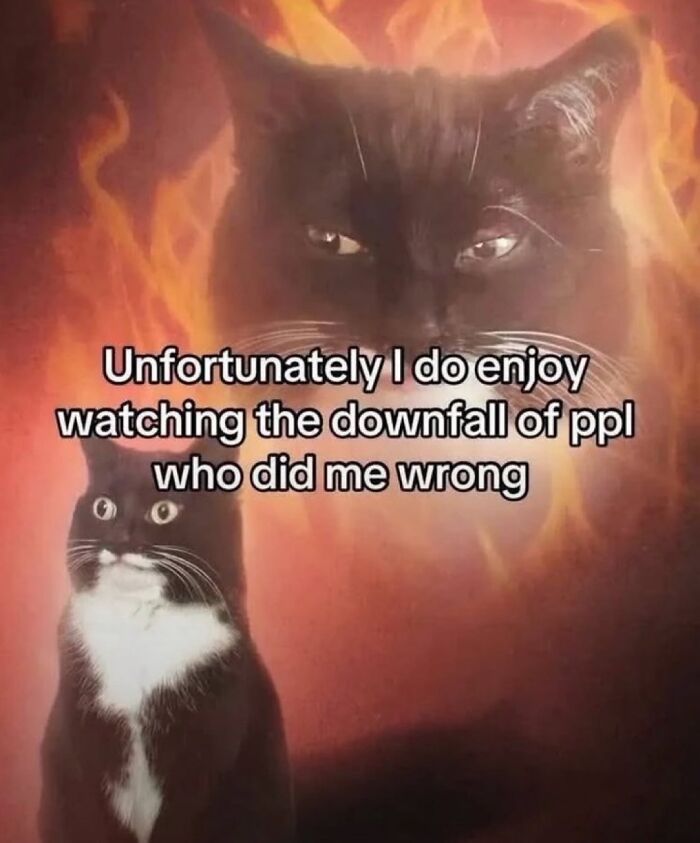 Let's Rank Some Ridiculously Catchy Memes That'll Stick in Your Brain