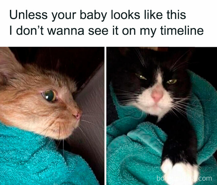 Let's Rank Some Ridiculously Catchy Memes That'll Stick in Your Brain