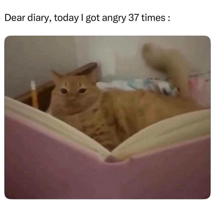 Let's Rank Some Ridiculously Catchy Memes That'll Stick in Your Brain