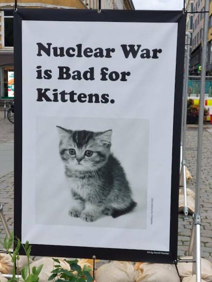 Let's Rank Some Ridiculously Catchy Memes That'll Stick in Your Brain