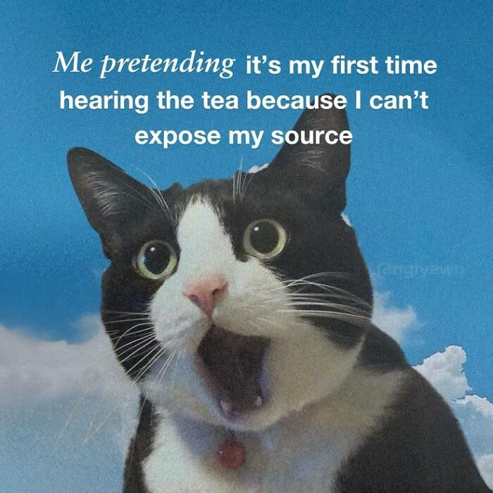 Let's Rank Some Ridiculously Catchy Memes That'll Stick in Your Brain