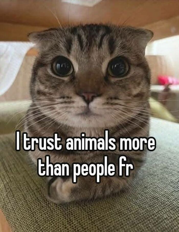 Let's Rank Some Ridiculously Catchy Memes That'll Stick in Your Brain