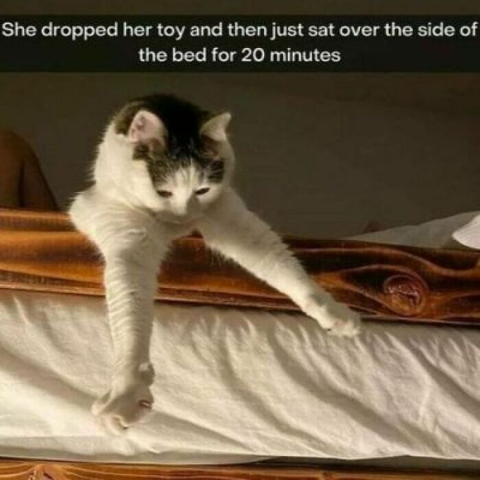 Let's Rank Some Ridiculously Catchy Memes That'll Stick in Your Brain
