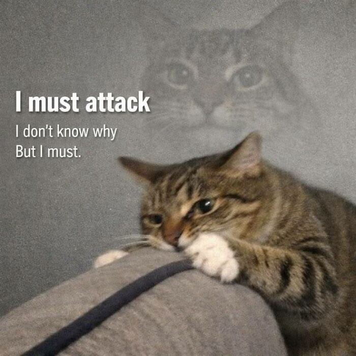 Let's Rank Some Ridiculously Catchy Memes That'll Stick in Your Brain