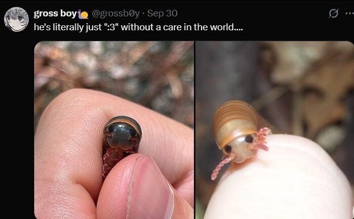 Let's Rank Some Ridiculously Catchy Memes That'll Stick in Your Brain