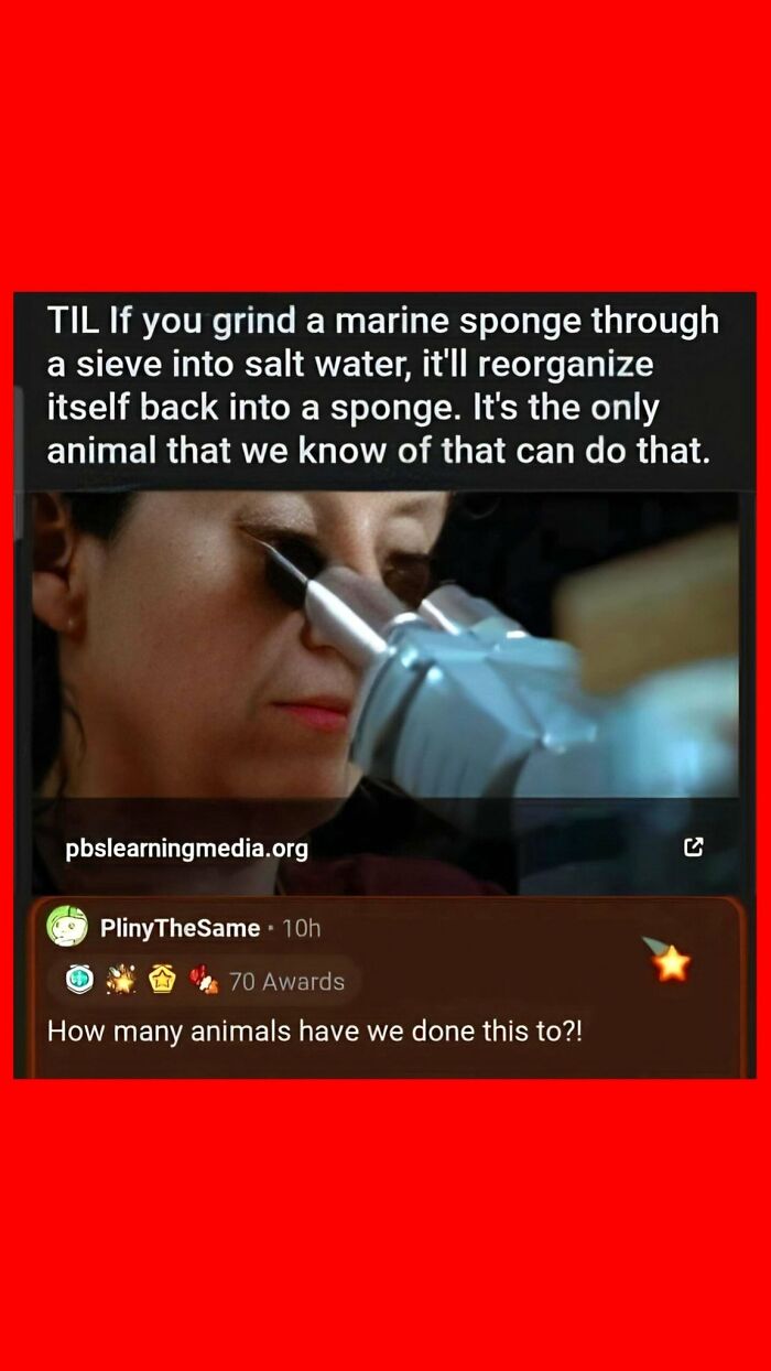 The 47 Funniest Science Memes That Nerds And Goofballs Will Both Love